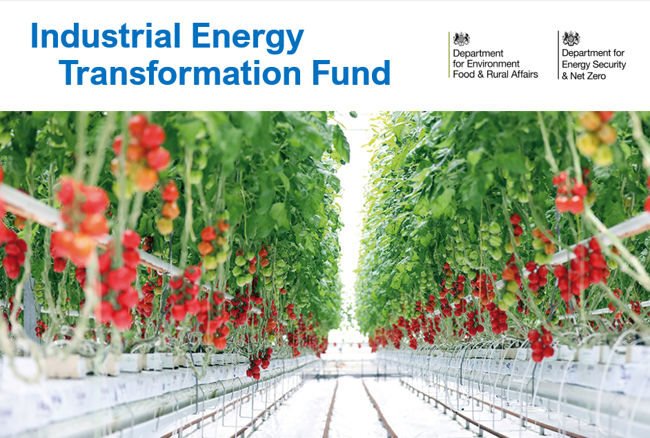 Horticulture webinar: Industrial Energy Transformation Fund