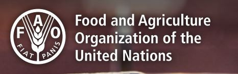 Food and Agriculture organisation of the United Nations