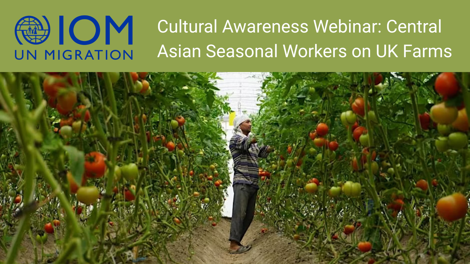 IOM - Cultural Awareness Webinar