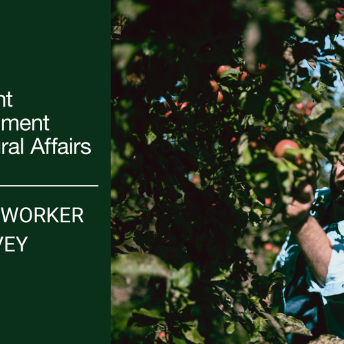 Defra Seasonal workers survey results 2023