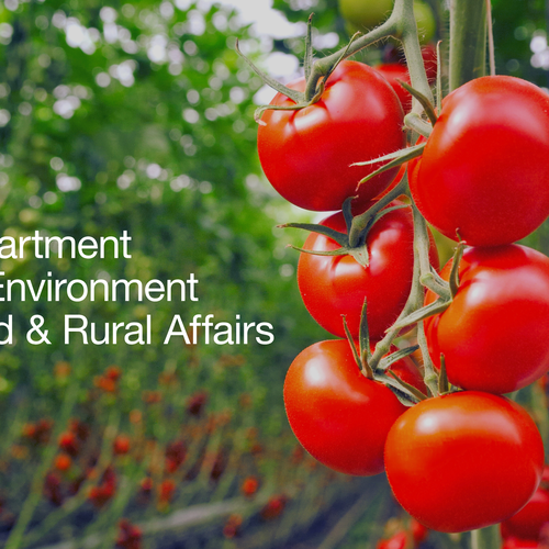 Defra Launch new Plant Health Information Service