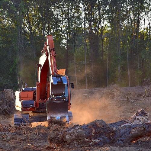 EU Deforestation Regulation proposal for delay