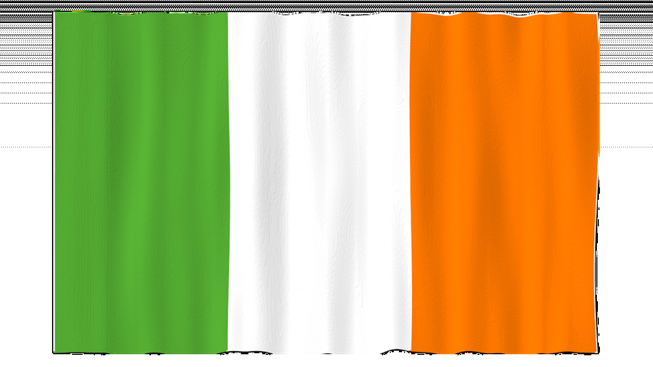 Customs Single Window for the Republic of Ireland - next phase 11 Jan 2023