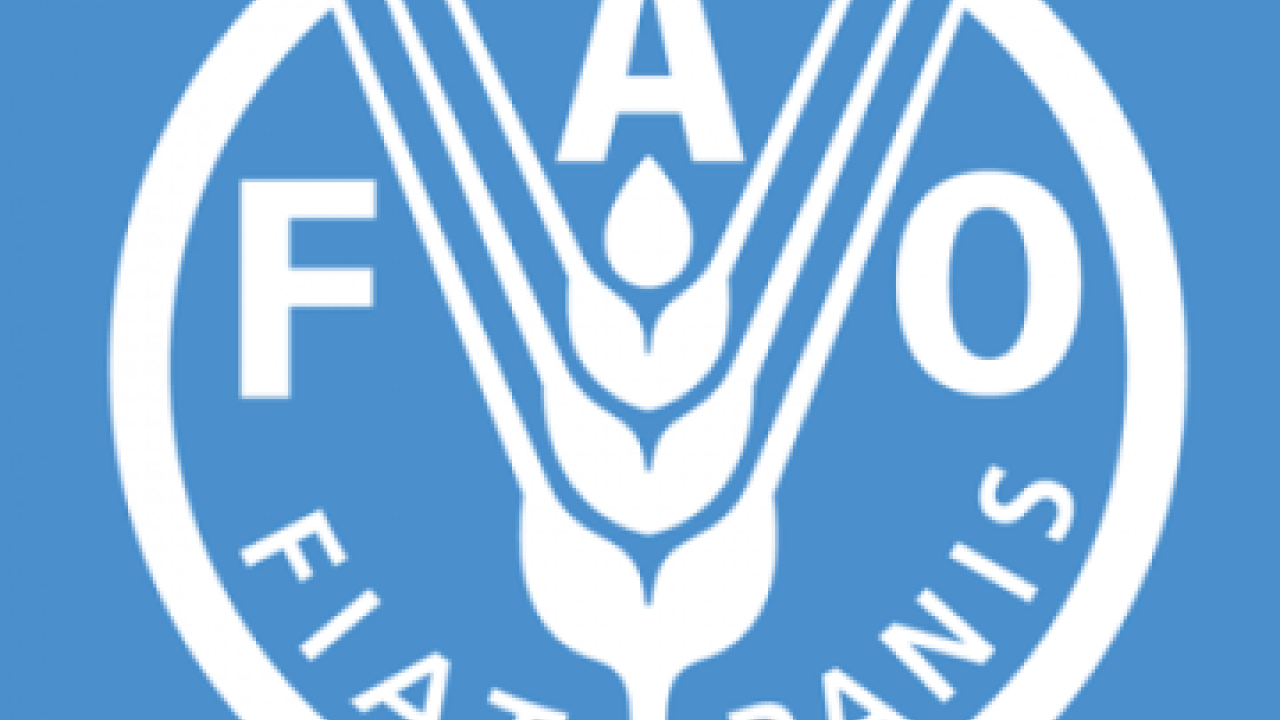 FAO Gene editing and agri-food systems
