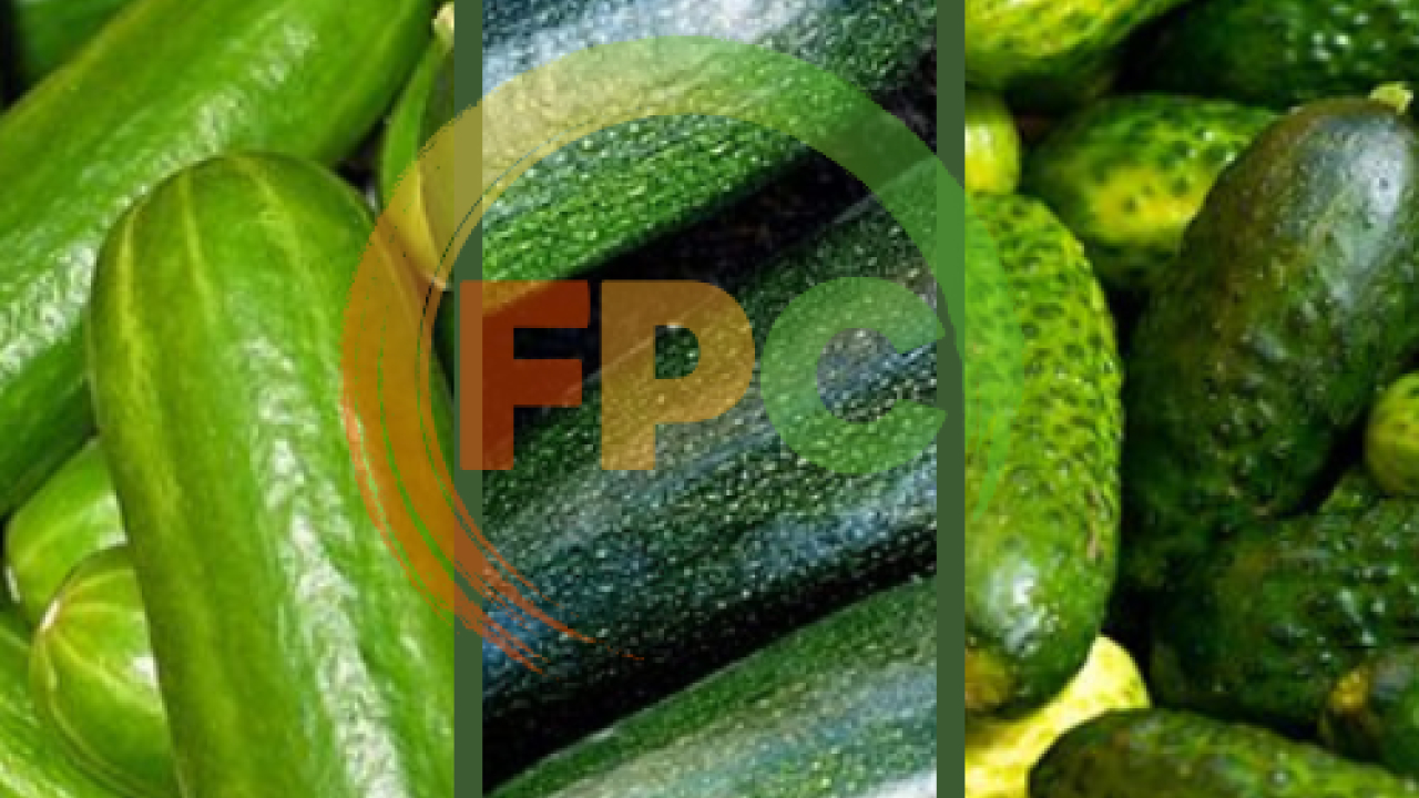 EU Modification of the existing maximum residue levels for imazalil in courgettes, cucumbers and gherkins