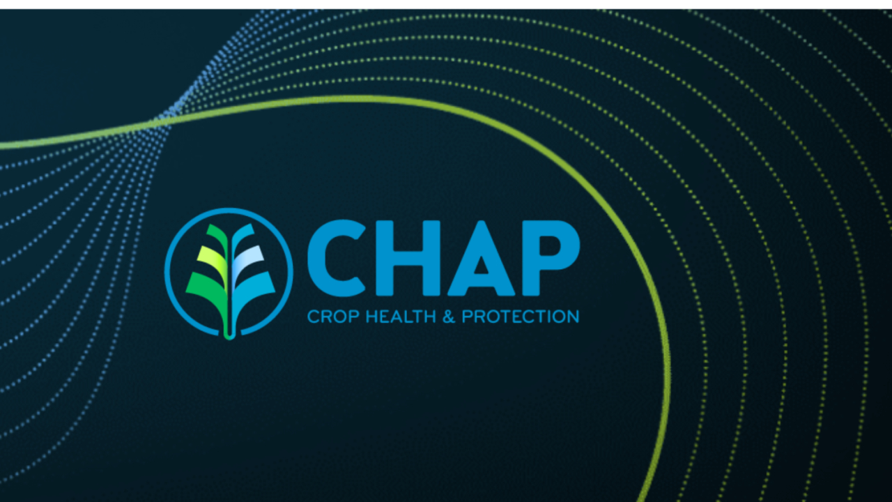 CHAP -Electric Nitrogen project survey