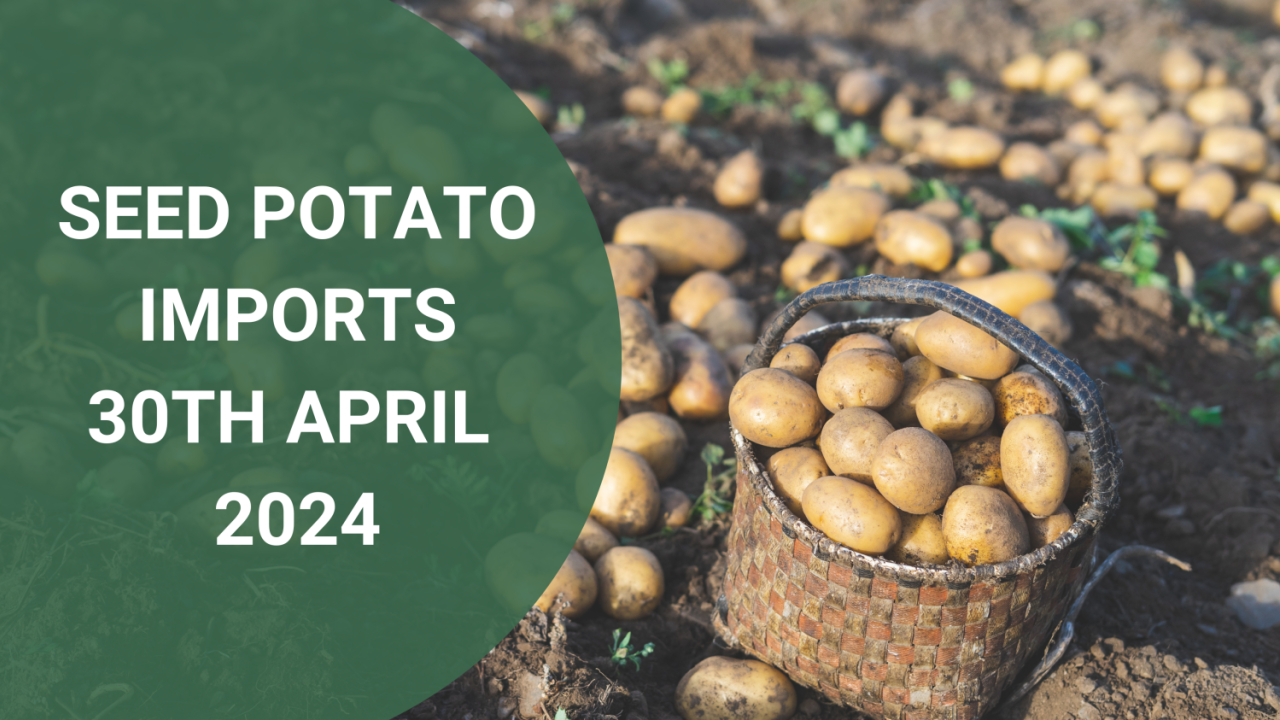 Seed Potato Imports from 30 April 2024