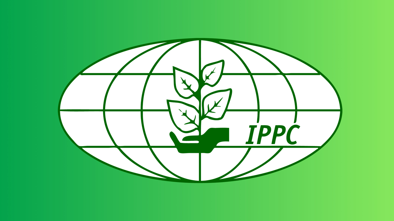 2024 IPPC ISPM consultation period - closes 31 July 2024