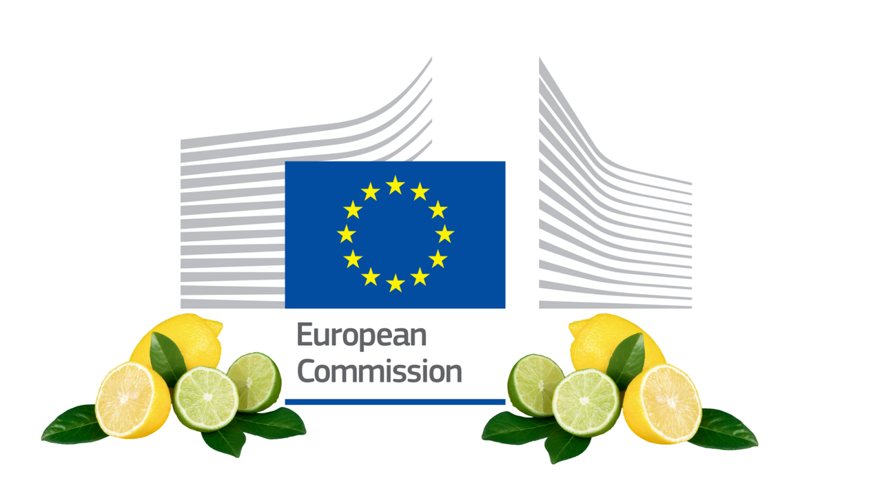 Extension to Citrus black spot controls on fruits from Argentina, Brazil, South Africa, Uruguay, Zimbabwe - EU Consultation now open