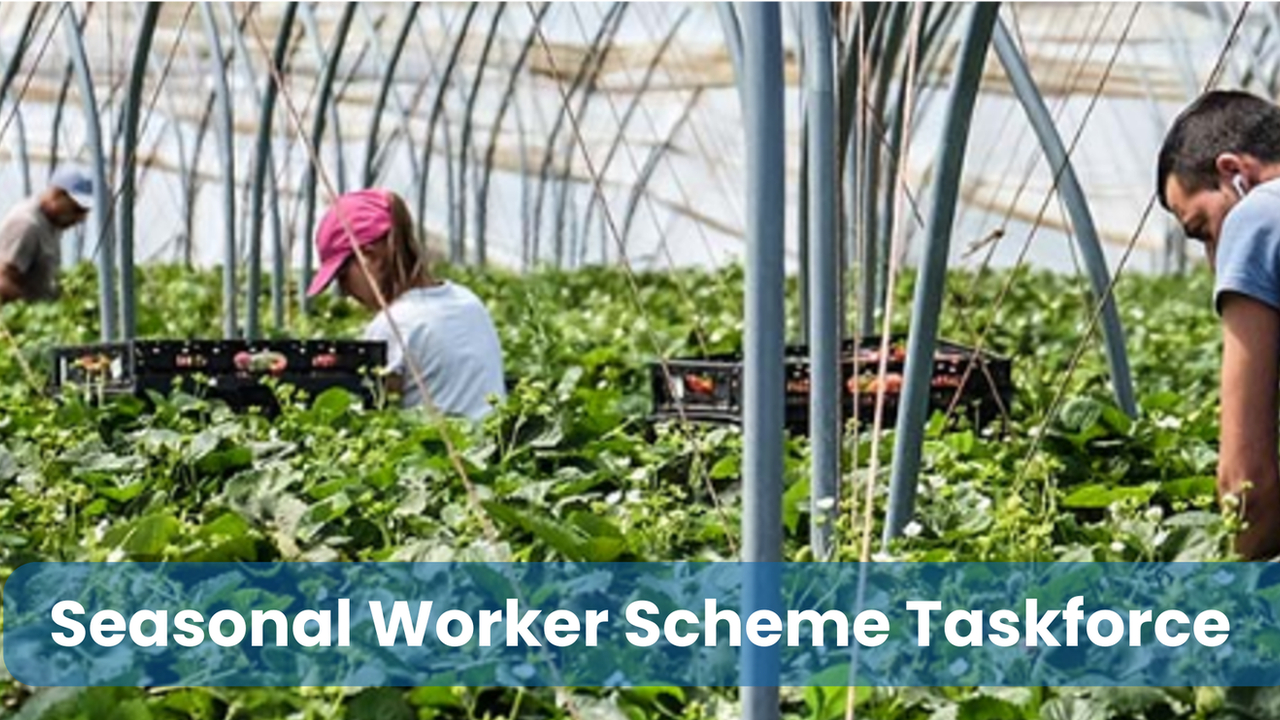 Accessing Seasonal Worker Scheme Taskforce Resources to support your business
