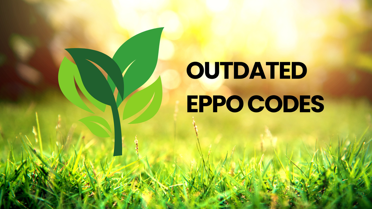 Outdated EPPO codes in the Plant Health Export Service (PHES)