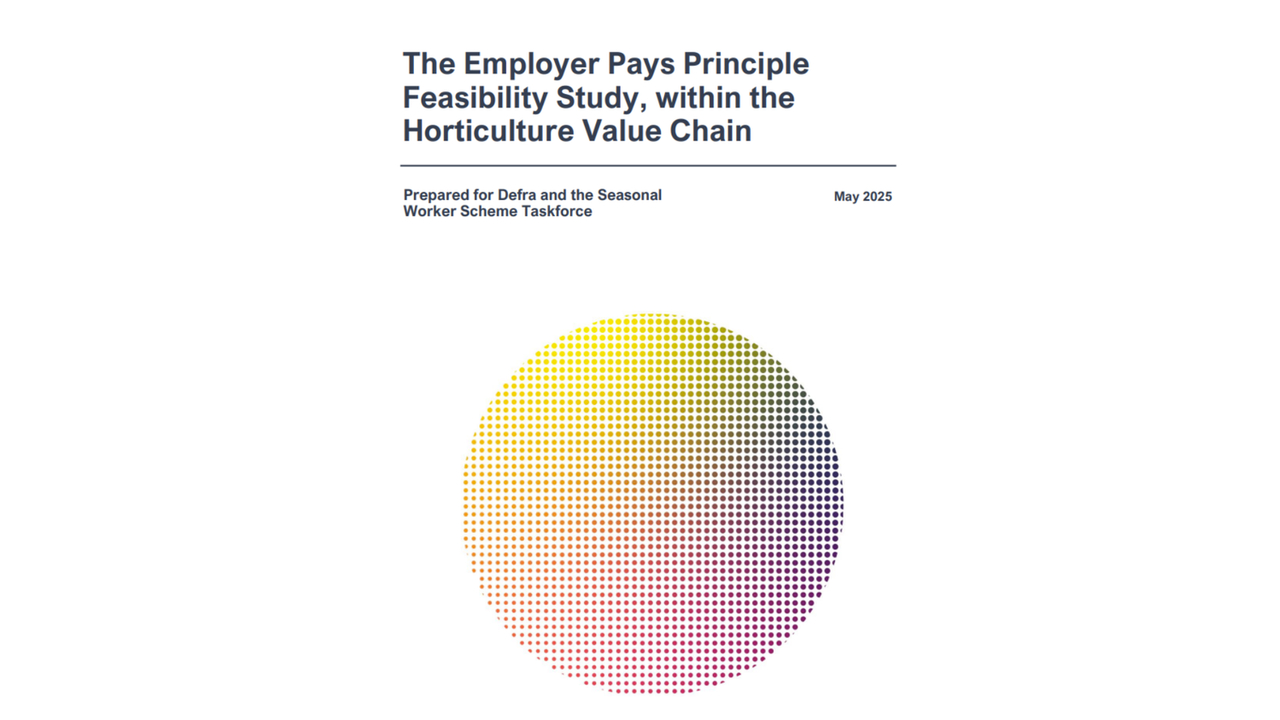 Employer Pays Principle Feasibility Study Released