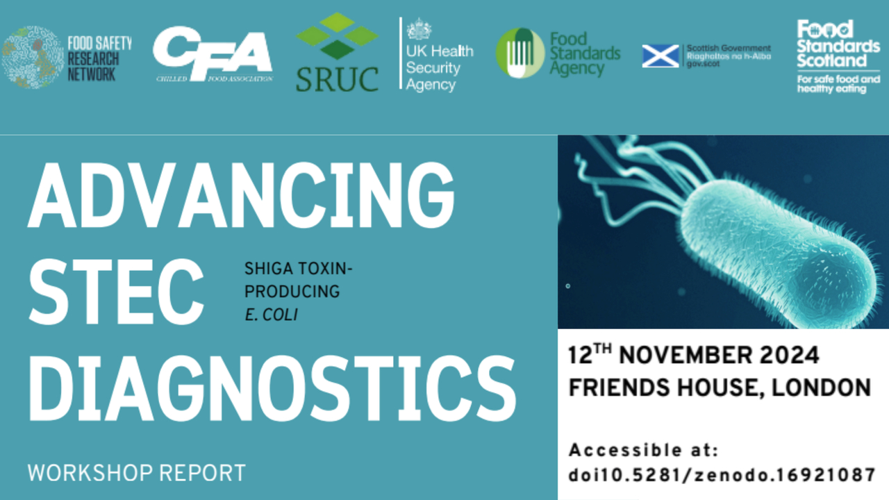 Advancing STEC Diagnostics - Workshop Report