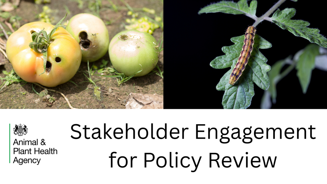 FPC Supports De-Regulation of Helicoverpa armigera - Stakeholder Response