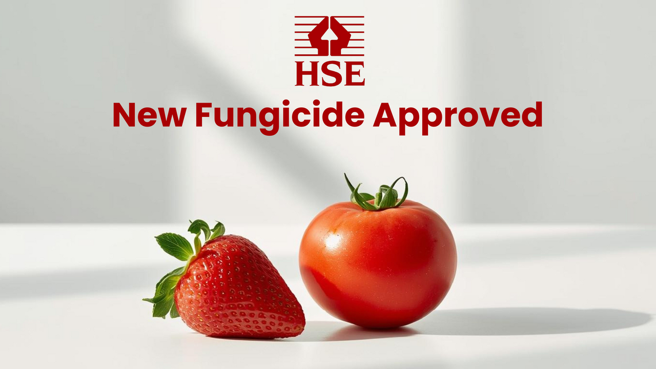 GB PPP new active substance - Fungicide for Strawberries / Tomatoes