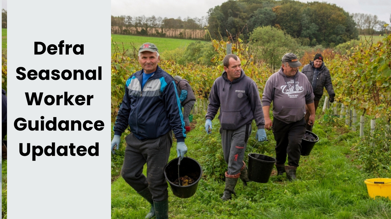 Seasonal work on farms: Defra guidance for workers updated