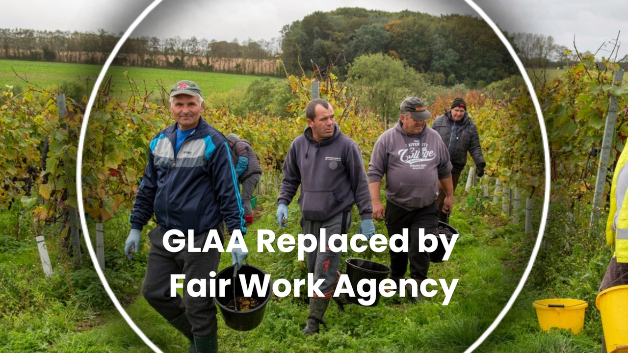 Fair Work Agency Replaces GLAA
