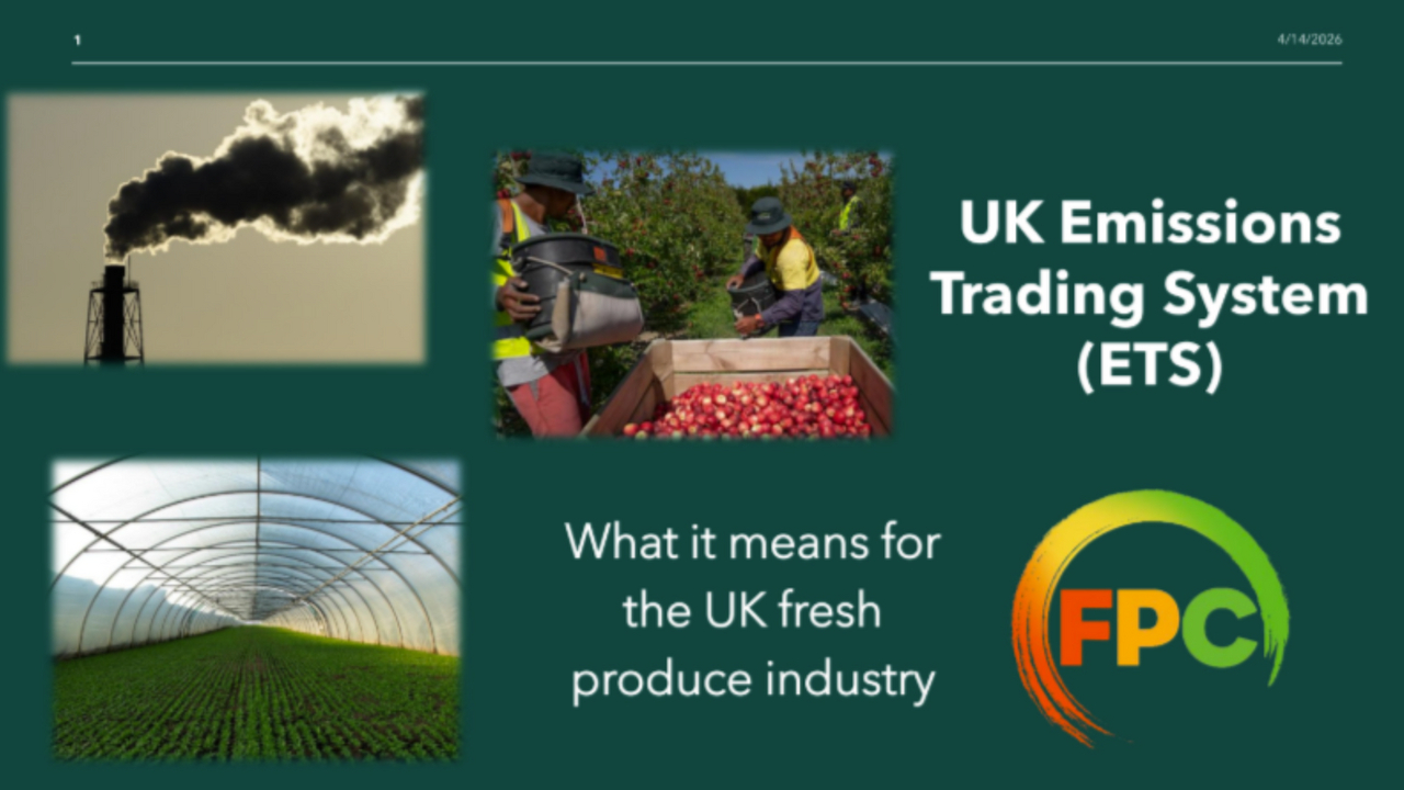 FPC Guidance - UK Emissions Trading Scheme
