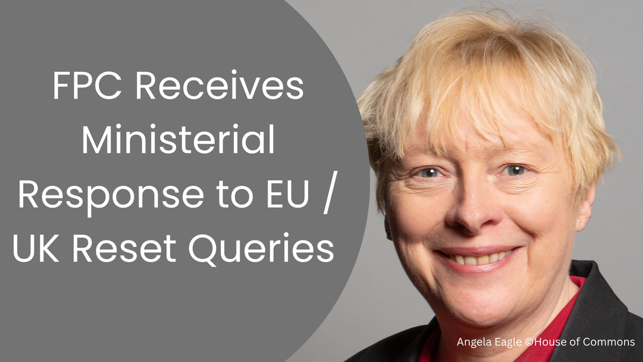 EU / UK Reset Govt Response from Dame Angela Eagle