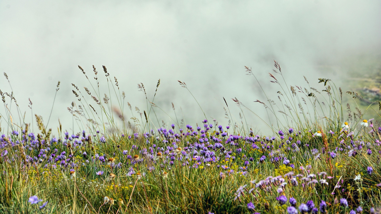 DEFRA - Countryside Stewardship Higher Tier (CSHT)