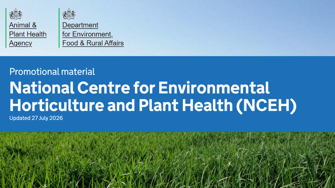 NCEH First Funding Call for 2026