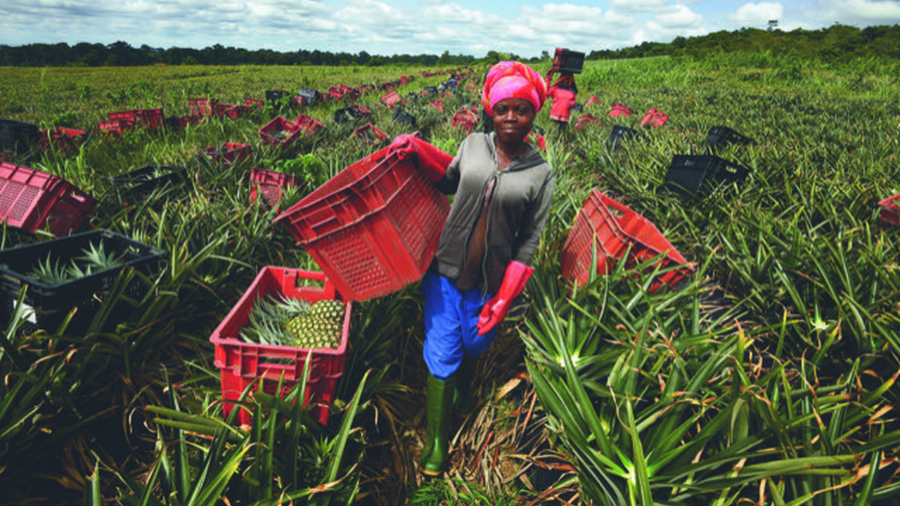 Fairmiles Calls for Fairness and Accuracy in the Race to Net Zero