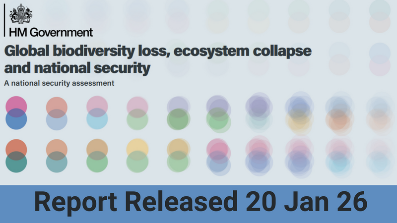 UK Govt publish national security assessment on global biodiversity loss, ecosystem collapse and national security
