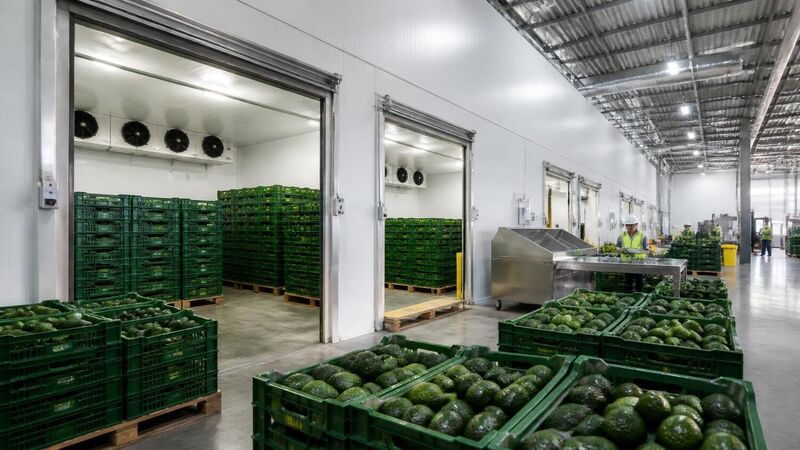 Seeking Industry Feedback on EU Ethylene Restrictions for Organic Products.