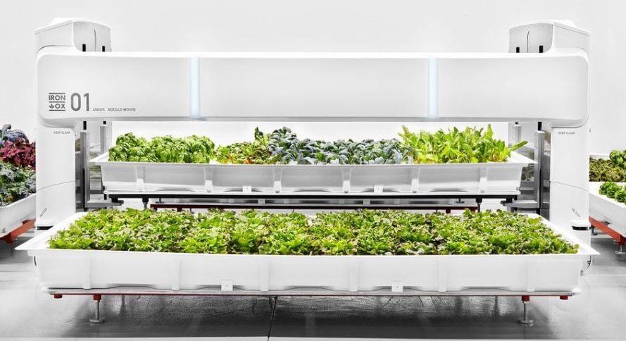 Vertical Farming / Controlled Environment Food Safety Guidance Workshop Invitation